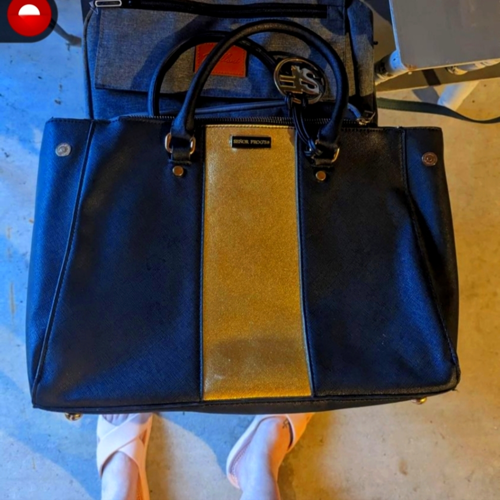 Senor Frog Purse